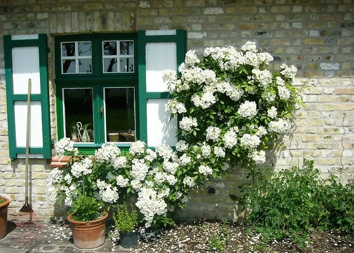Charmant, Knus Vakantiehuisje Malpertus In Damme